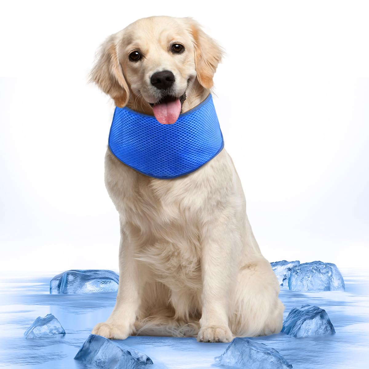 Bandana Refrescante para Perritos